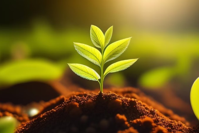 Biometano: energia limpa para um mundo sustentável
